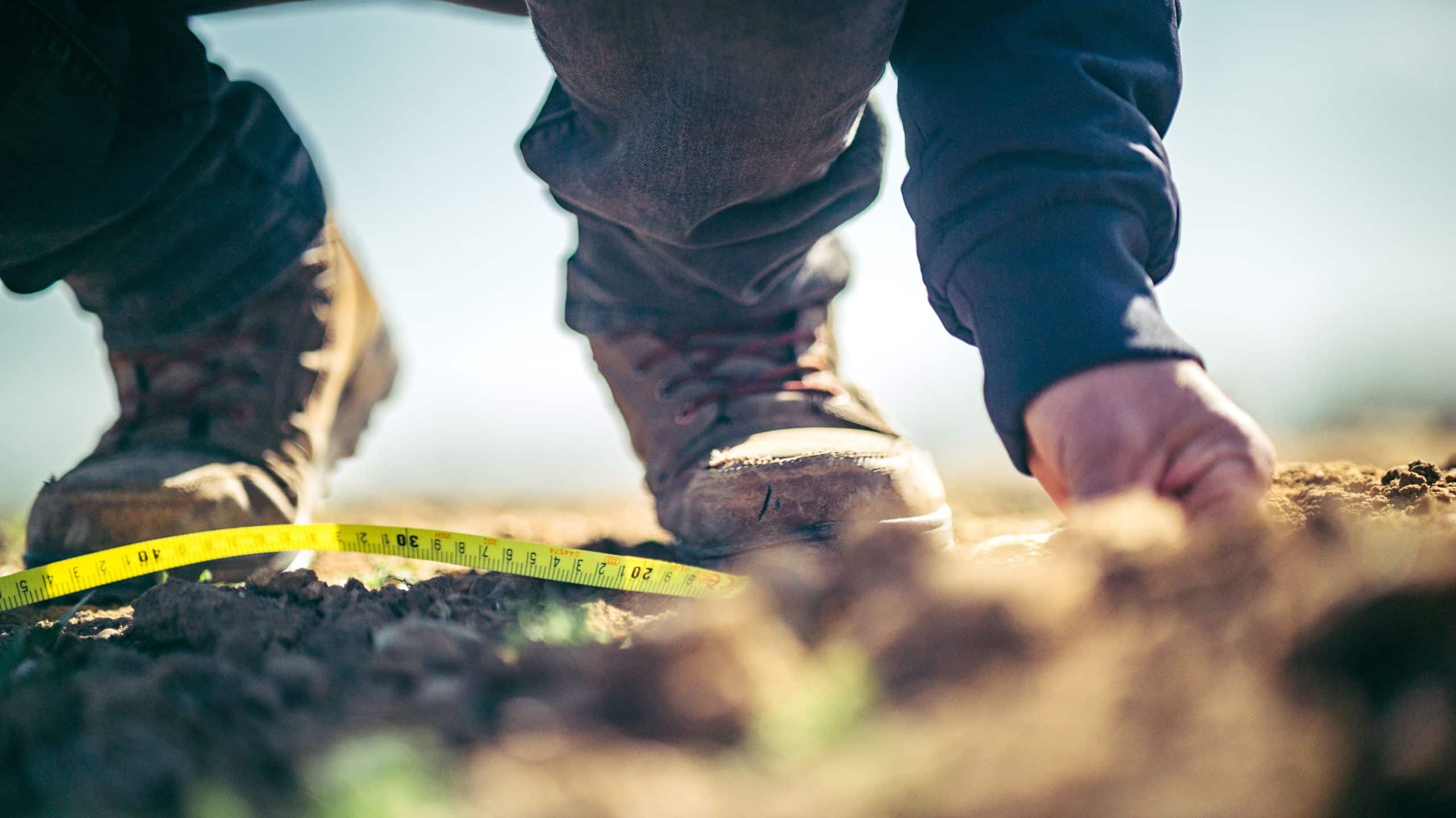 soil test